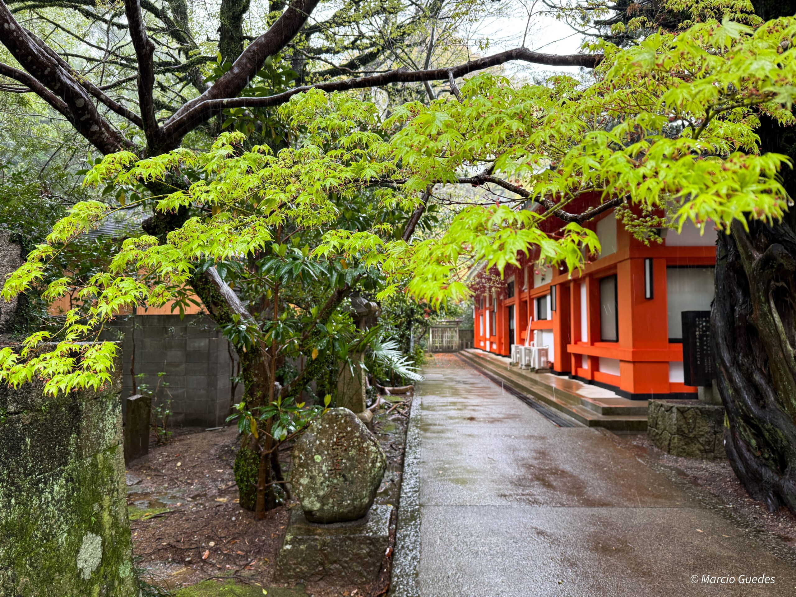 Hongu → Nachikatsuura – 70,6 km